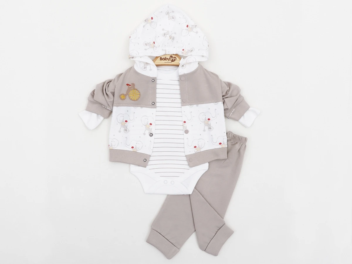 BİSİKLETLİ FİL 3LÜ KAPŞONLU ERKEK BEBE TAKIM 2318