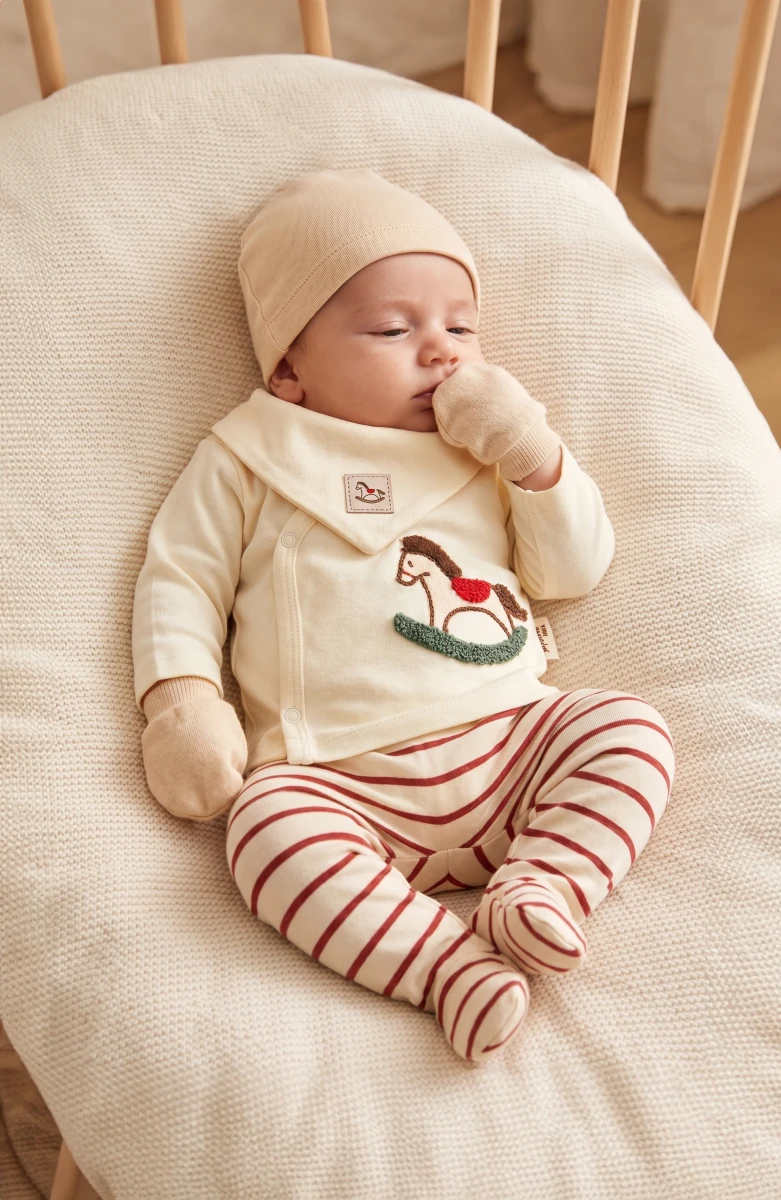 ÇİZGİLİ AT NAKIŞLI 2 Lİ ERKEK BEBE ZIBIN TAKIMI 53039