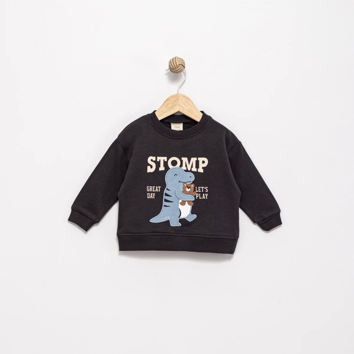 DİNAZOR VE OYUNCAK AYI APLİKELİ 2 İP SWEAT 0351-1