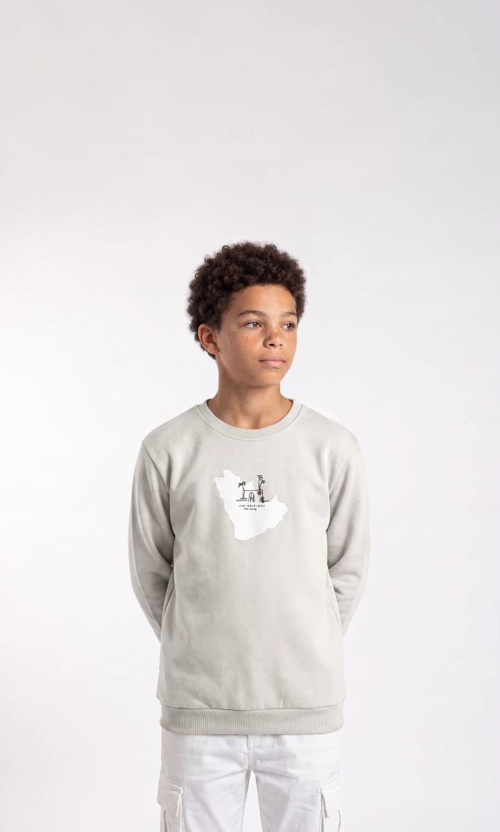 JAM INDUSTRIES BASKILI 3 İP ERKEK ÇOCUK SWEAT 4168