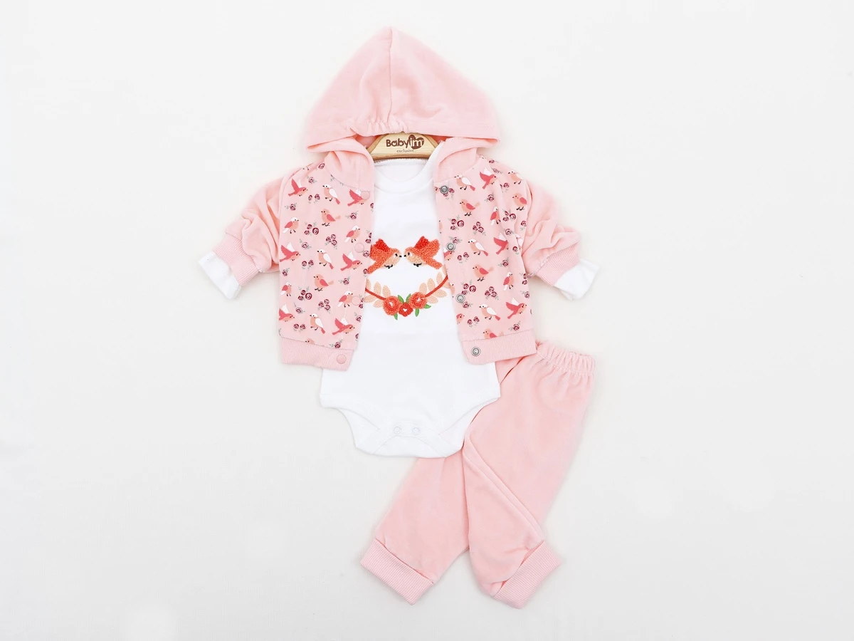 KAPÜŞONLU KUŞLU 3 LÜ KADİFE BEBE TAKIM 2458