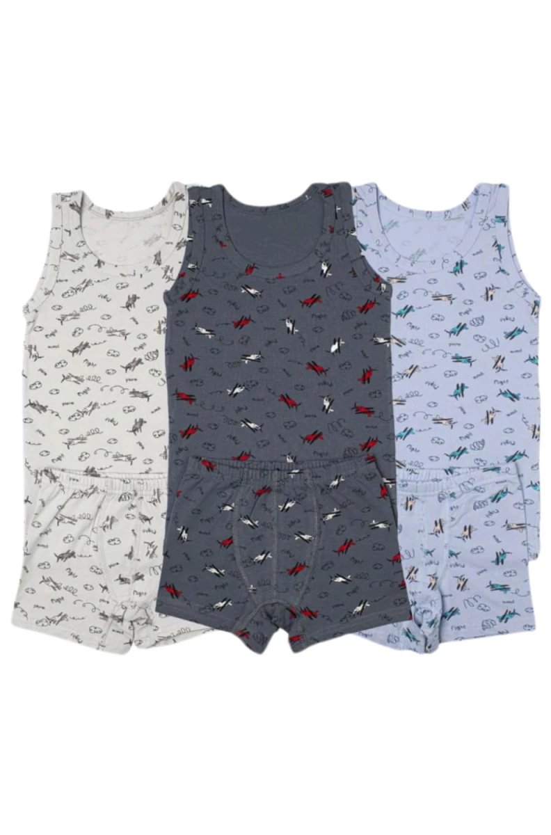 MUHTELİF DESENLİ ERKEK ÇOCUK BOXER TAKIM 8700/3