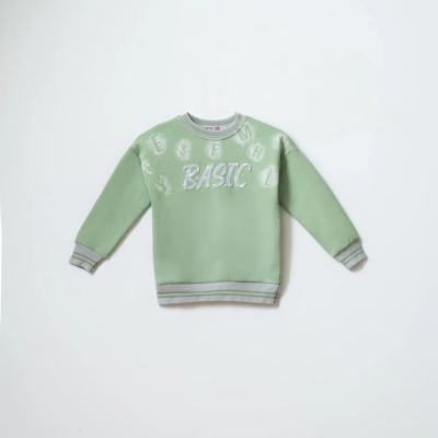 BASIC BASKILI 3 İP ERKEK ÇOCUK TEK SWEAT 12472