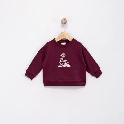 ÇANTALI KAPLAN 2 İP ERKEK BEBE SWEAT 0394-1