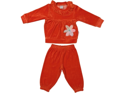 ÇİÇEK APLİKELİ  KADİFE KIZ BEBE TAKIM 25974