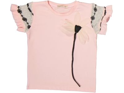 PEMBE