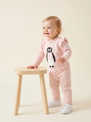 PENGUENLİ TRİKO BEBE TAKIM 6460